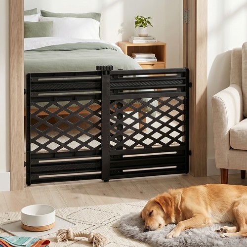Retractable pet dog - retractable,
