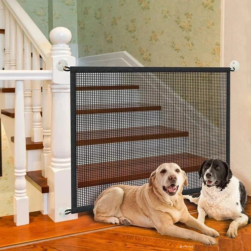 Folding pet dog - pet,