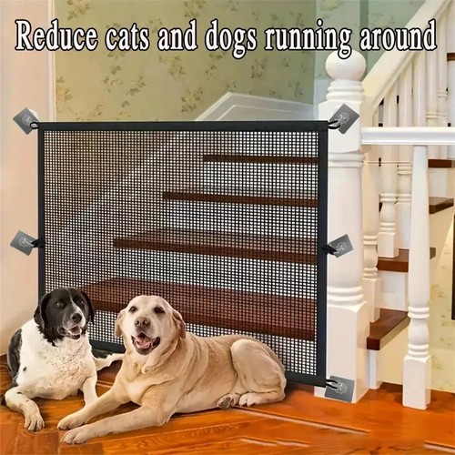 Folding pet dog retractable - pet,