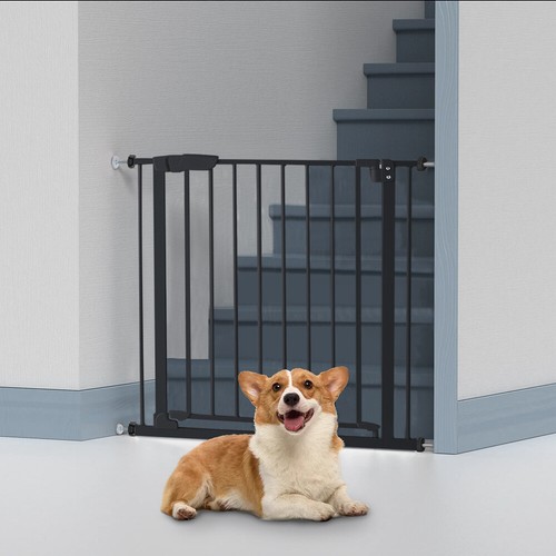 Home baby safety - home, gate