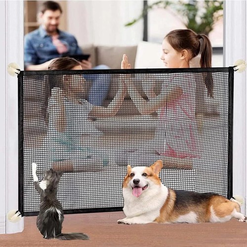 Pet dog gate safety - dog,